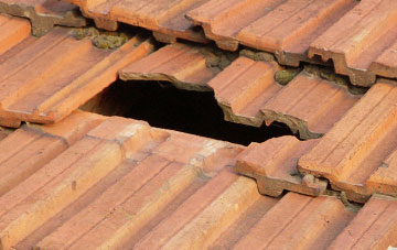 roof repair Coppleham, Somerset
